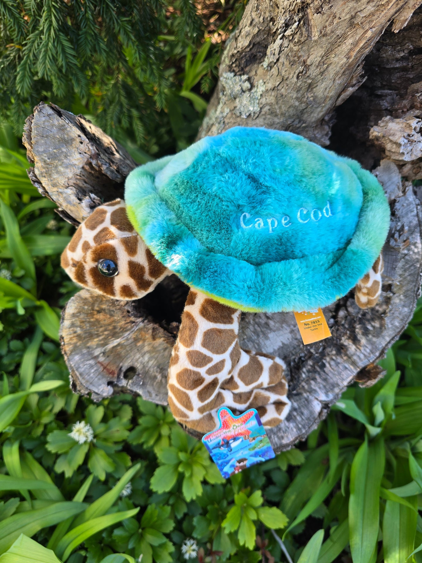 Cape Cod Turtle Plush