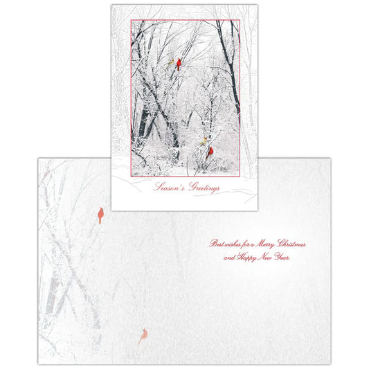 Winter Color Boxed Christmas Cards