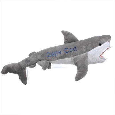 Great White Shark 23